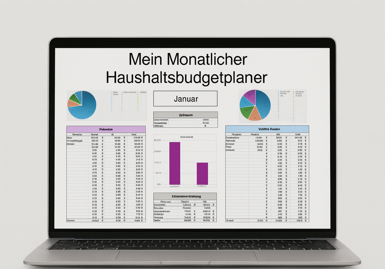Haushaltsbudgets mit klaren Sparzielen organisieren Haushaltsbudgets mit klaren Sparzielen organisieren